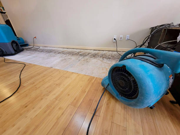 Professional Flood Damage Cleanup technician working in Mount Pleasant, IA